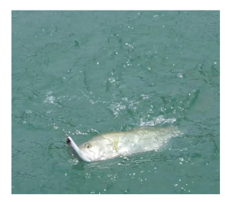 Kingdom Dyinger Jerkbaits 110mm 10g